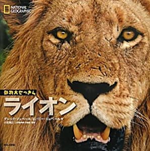 ナショナルジオグラフィック動物大せっきん ライオン (ナショナルジオグラフィック 動物大せっきん)(中古品)