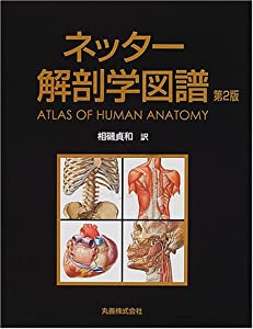 ネッター解剖学図譜(中古品)