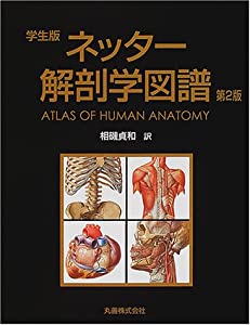 ネッター解剖学図譜 学生版(中古品)