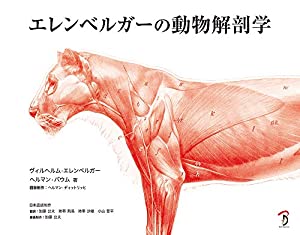 エレンベルガーの動物解剖学(中古品)
