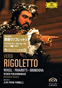 ヴェルディ:歌劇《リゴレット》 [DVD](中古品)