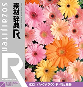 素材辞典[R(アール)] 033 バックグラウンド・花と植物(中古品)