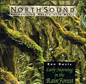 Early Morning in Rain Forest(中古品)