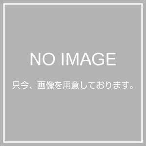 TOBI 植木鋏差(A) 小 UA-02(中古品)