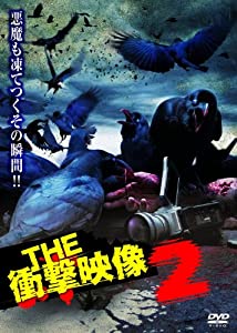 THE 衝撃映像2 [DVD](中古品)