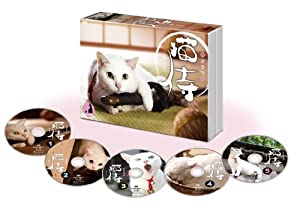 ドラマ「 猫侍 」DVD-BOX(中古品)