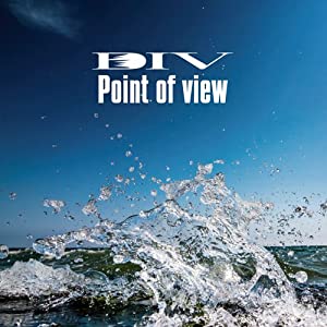 Point of view(初回生産限定盤)(DVD付)(中古品)