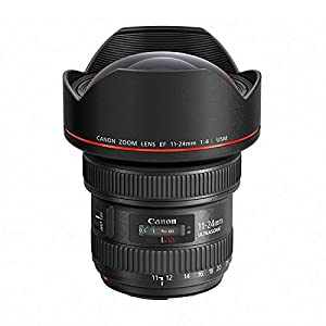 Canon 超広角レンズ EF11-24mm F4L USM フルサイズ対応 EF11-24L(中古品)
