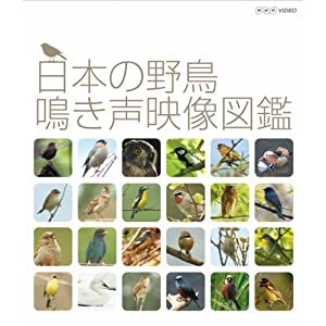 日本の野鳥 鳴き声映像図鑑 ブルーレイ【NHKスクエア限定商品】(中古品)