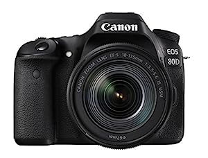 Canon デジタル一眼レフカメラ EOS 80D レンズキット EF-S18-135mm F3.5-5.6 IS USM 付属 EOS80D18135USMLK(中古品)