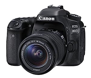 Canon デジタル一眼レフカメラ EOS 80D レンズキット EF-S18-55mm F3.5-5.6 IS STM 付属 EOS80D1855ISSTMLK(中古品)