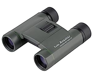 Kenko 双眼鏡 Avantar 10×25 DH WP 10倍 25口径 ダハプリズム式 2軸式 AVT-1025DW(中古品)