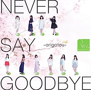 NEVER SAY GOODBYE ~arigatou~(Type-A)(DVD付)(中古品)