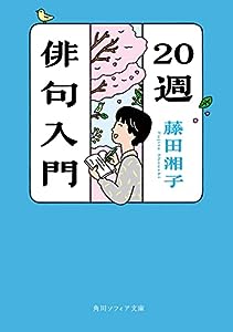 20週俳句入門 (角川ソフィア文庫)(中古品)