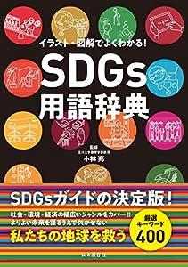 SDGs用語辞典 イラスト・図解でよくわかる！ 地球を救う厳選キーワード400(中古品)