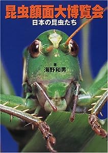 昆虫顔面大博覧会―日本の昆虫たち(中古品)