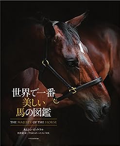 世界で一番美しい馬の図鑑(中古品)