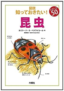 図説 知っておきたい!スポット50 昆虫 (Rikuyosha Children & YA Books)(中古品)