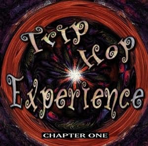 Trip Hop Experience(中古品)