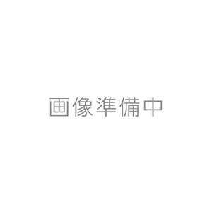 Everybody's Got Summer / I'll Remember You(中古品)