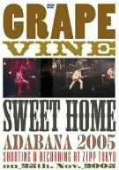sweet home adabana 2005 [DVD](中古品)