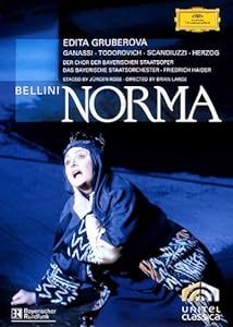ベルリーニ:歌劇《ノルマ》 [DVD](中古品)