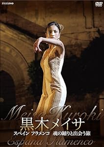 黒木メイサ スペイン フラメンコ 魂の踊りと出会う旅 [DVD](中古品)