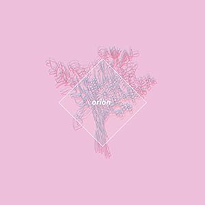orion(中古品)