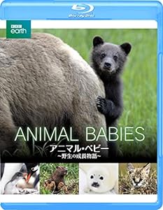 BBC earth アニマル・ベビー ~野生の成長物語~ [Blu-ray](中古品)