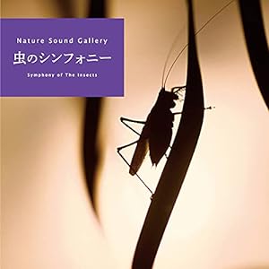 虫のシンフォニー ~ ネイチャー・サウンド・ギャラリー(自然音)(中古品)